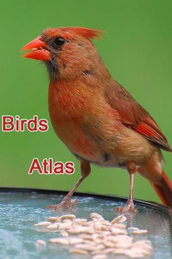 Image 0 for Birds Atlas