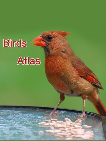 Image 1 for Birds Atlas