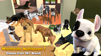 Image 3 for Cat & Dog Online: Multipl…