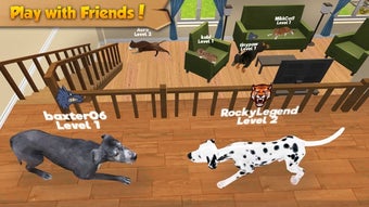 Imagen 3 para Cat & Dog Online: Multipl…
