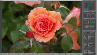 Image 4 for FastRawViewer