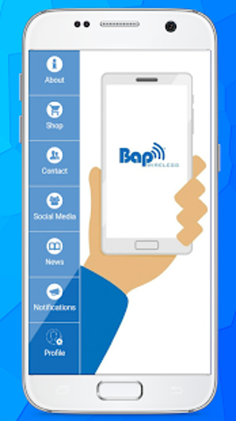 Image 1 for BAP Wireless