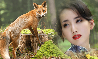 Image 3 for Wild Animal Photo Frames