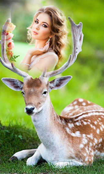 Image 1 for Wild Animal Photo Frames