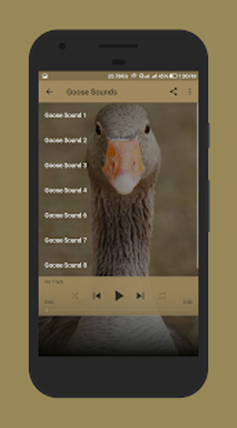 Imagen 2 para Goose Sounds