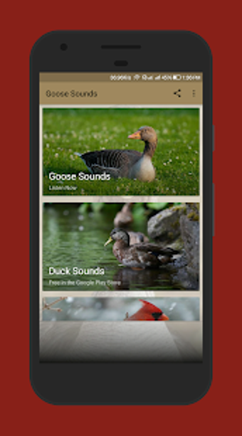 Imagen 0 para Goose Sounds