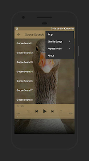 Imagen 1 para Goose Sounds