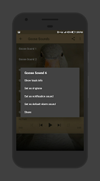 Imagen 3 para Goose Sounds
