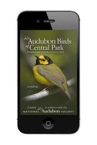 Image 0 for Audubon Bird Guide: Centr…