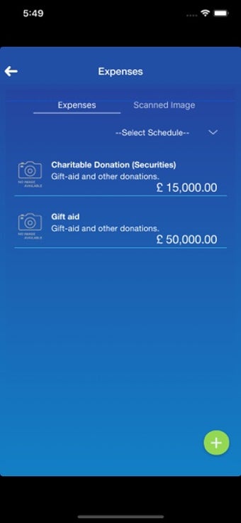 Image 3 for GoSimpleTax