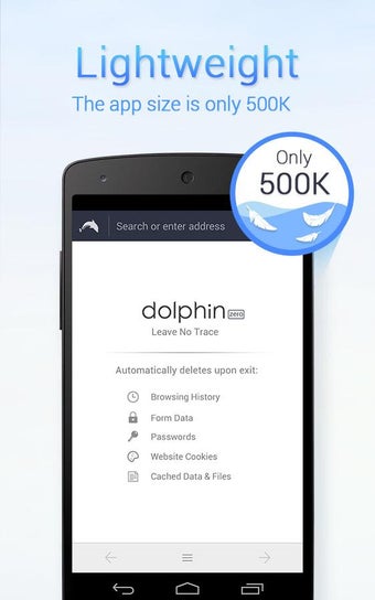 Image 1 for Dolphin Zero Incognito Br…