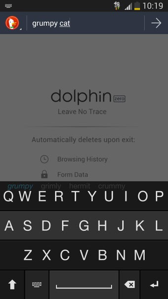 Image 6 for Dolphin Zero Incognito Br…