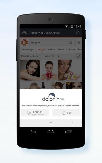 Image 5 for Dolphin Zero Incognito Br…