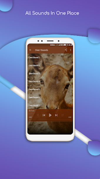 Image 0 for Deer Sounds