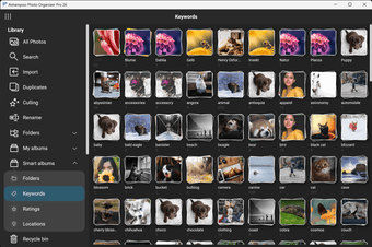 Image 0 for Ashampoo Photo Organizer …