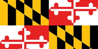 Image 1 for Maryland Flag