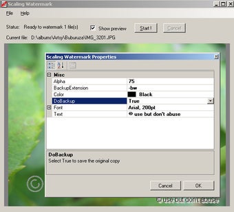 Imagen 0 para Scaling Watermark