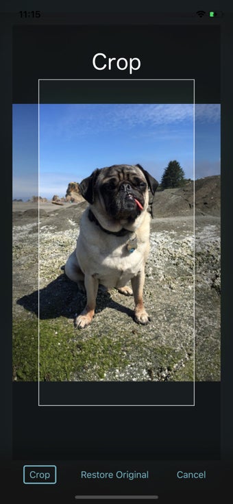 Image 1 for Grid Painter