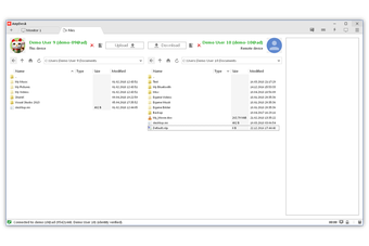 Imagen 0 para AnyDesk
