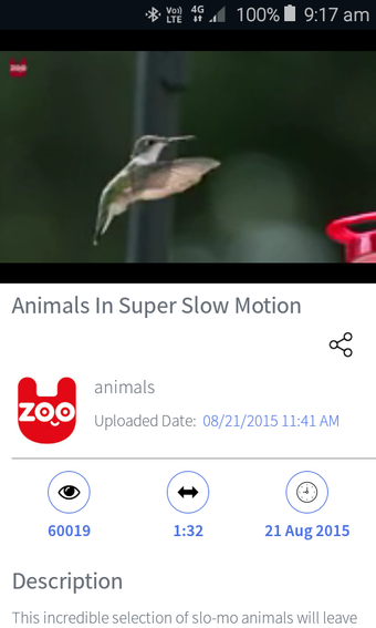 Imagen 0 para Video Player for Dailymot…