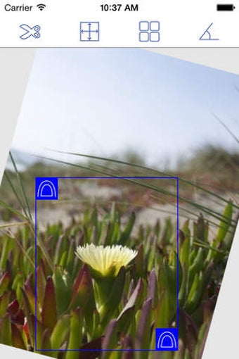 Image 0 for Photo Cut Free