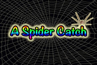 Image 0 for 3D Spider Catch - Challan…