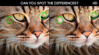 Imagen 2 para Spot the Differences 100 …