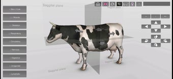 Image 1 for 3D Bovine Anatomy