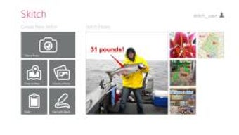 Image 0 for Skitch for Windows