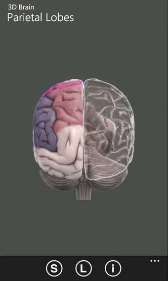 Imagen 3 para 3D Brain for Windows 10