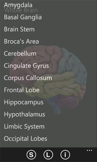 Imagen 1 para 3D Brain for Windows 10