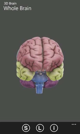 Imagen 0 para 3D Brain for Windows 10