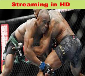 Imagen 0 para Watch MMA Live Streaming