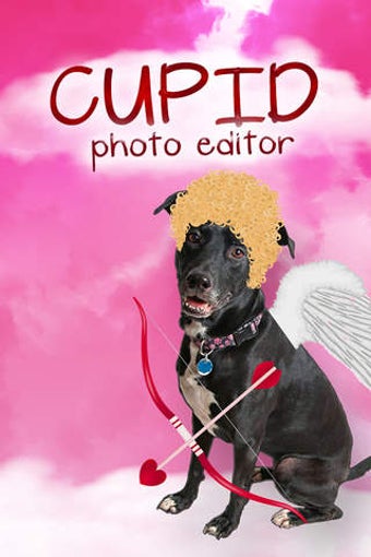 Image 0 for Cupid Valentine Dress Up …