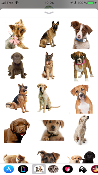 Image 3 for Dog