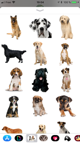 Image 1 for Dog