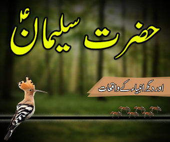 Image 0 for Hazrat Suleman Ka Qissa :…