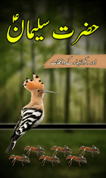 Image 1 for Hazrat Suleman Ka Qissa :…