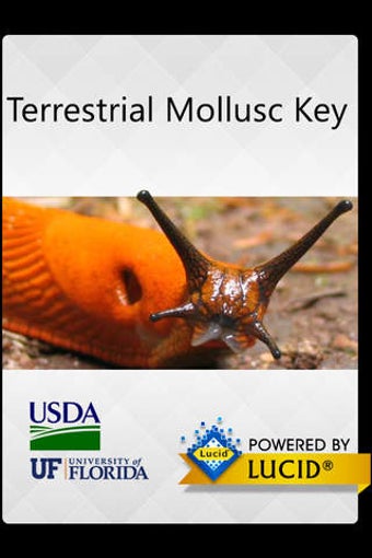 Image 0 for Terrestrial Mollusc Key