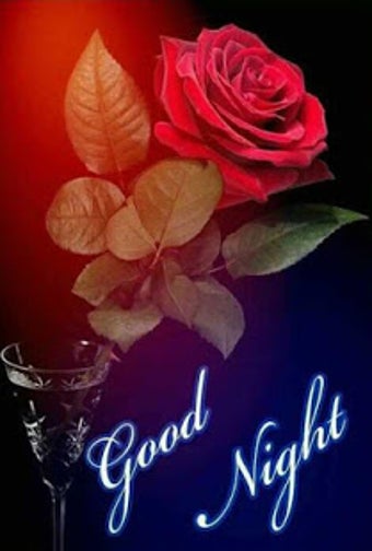 Imagen 3 para Good Morning - Good Night…