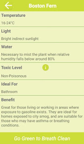 Image 3 for Air Cleaning Plants