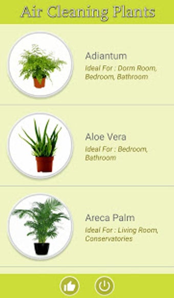 Image 0 for Air Cleaning Plants