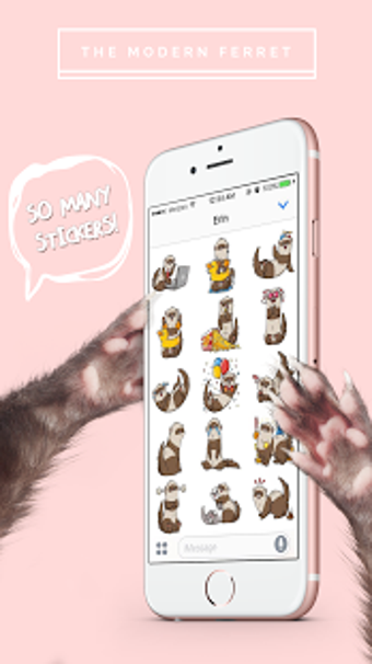 Imagen 1 para Ferret Stickers by The Mo…