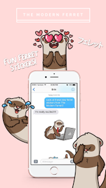 Imagen 0 para Ferret Stickers by The Mo…