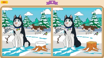Image 0 for Dogs Contrast