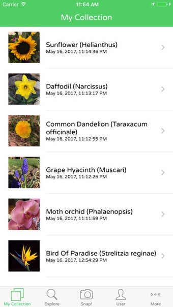 Image 2 for PlantSnap Plant Identific…