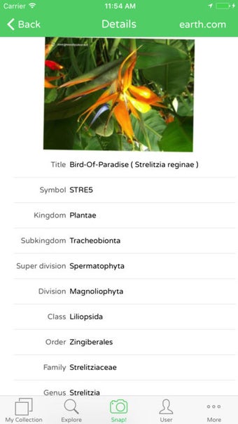 Image 3 for PlantSnap Plant Identific…