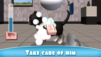 Image 1 for Daily Kitten : virtual ca…