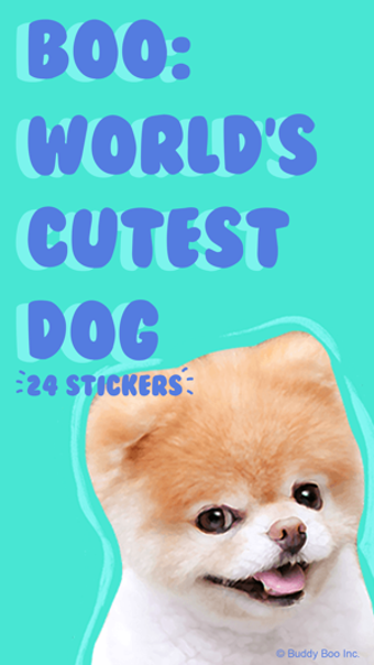 Image 2 for Boo: World's Cutest Dog