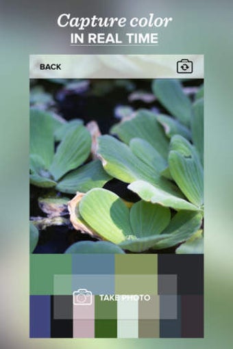 Image 0 for Color Viewfinder - The re…